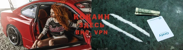 трава Гусиноозёрск