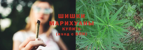 трава Гусиноозёрск