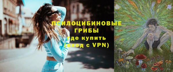 спиды Дмитров