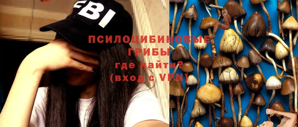 трава Гусиноозёрск