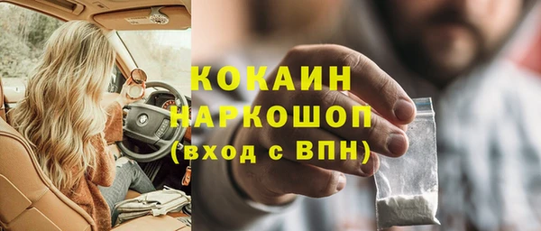 трава Гусиноозёрск