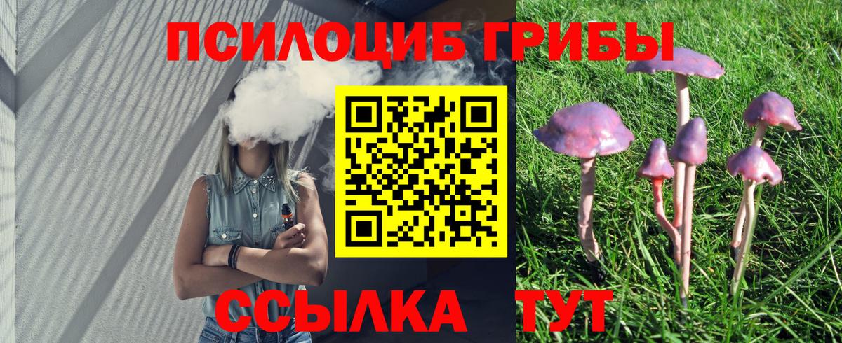 Острогожск  Галлюциногенные грибы Psilocybine cubensis  Вход с VPN  Галлюциногенные грибы прущие грибы 