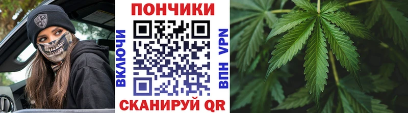 KRAKEN ссылки Острогожск Бошки марихуана сатива
